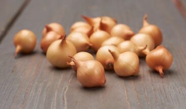 Сода для лука-севка: можно ли замачивать и есть ли реальная польза — ответ агрономов
