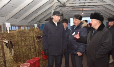 «Перебили всю скотину правильно и своевременно»: Путин получил отчет о «контркоровьей» операции в Новосибирской области