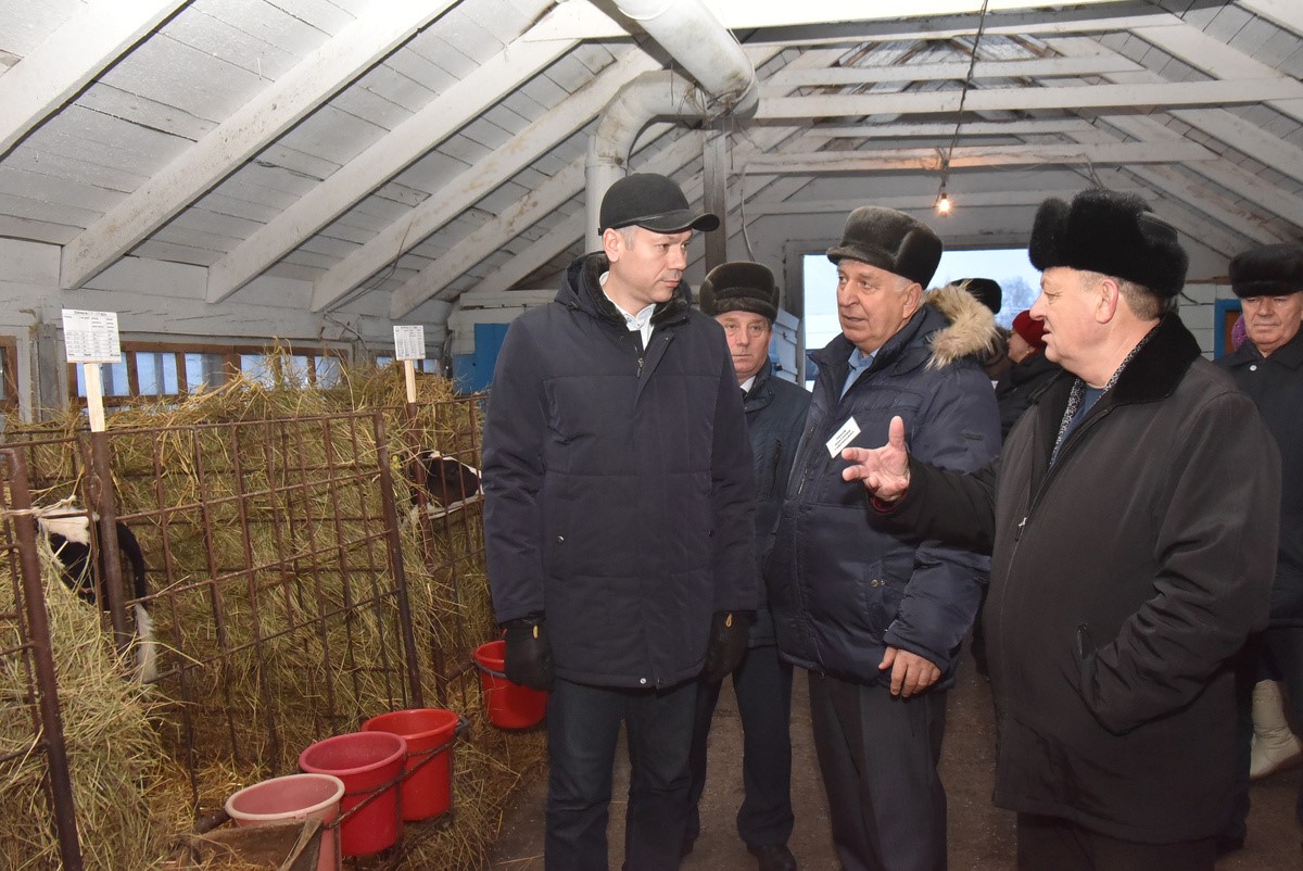 «Перебили всю скотину правильно и своевременно»: Путин получил отчет о «контркоровьей» операции в Новосибирской области