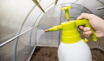 Теплица без подготовки — урожай на помойку: 5 правил, которые спасут ваш новый сезон