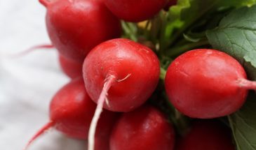 Редис, который не уходит в стрелку: 5 гибридов для теплицы, дающих урожай даже в жару