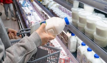 Что на самом деле в вашем стакане? Раскрыты секреты производства магазинного молока