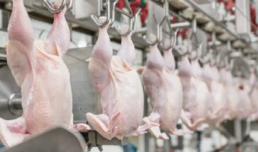 Сдали Китаю с потрохами: чиновники открыли российский рынок для китайской курятины и бразильской говядины