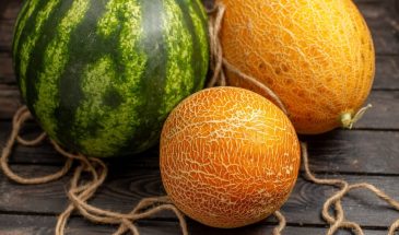 Стартовые удобрения для пасленовых и бахчевых: включат корни и прогонят «овощную спячку»