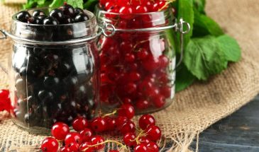 Черная или красная: какая смородина на самом деле полезнее для здоровья