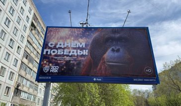Орангутан Бату и День Победы: как новосибирские власти превратили 9 мая в политический шабаш