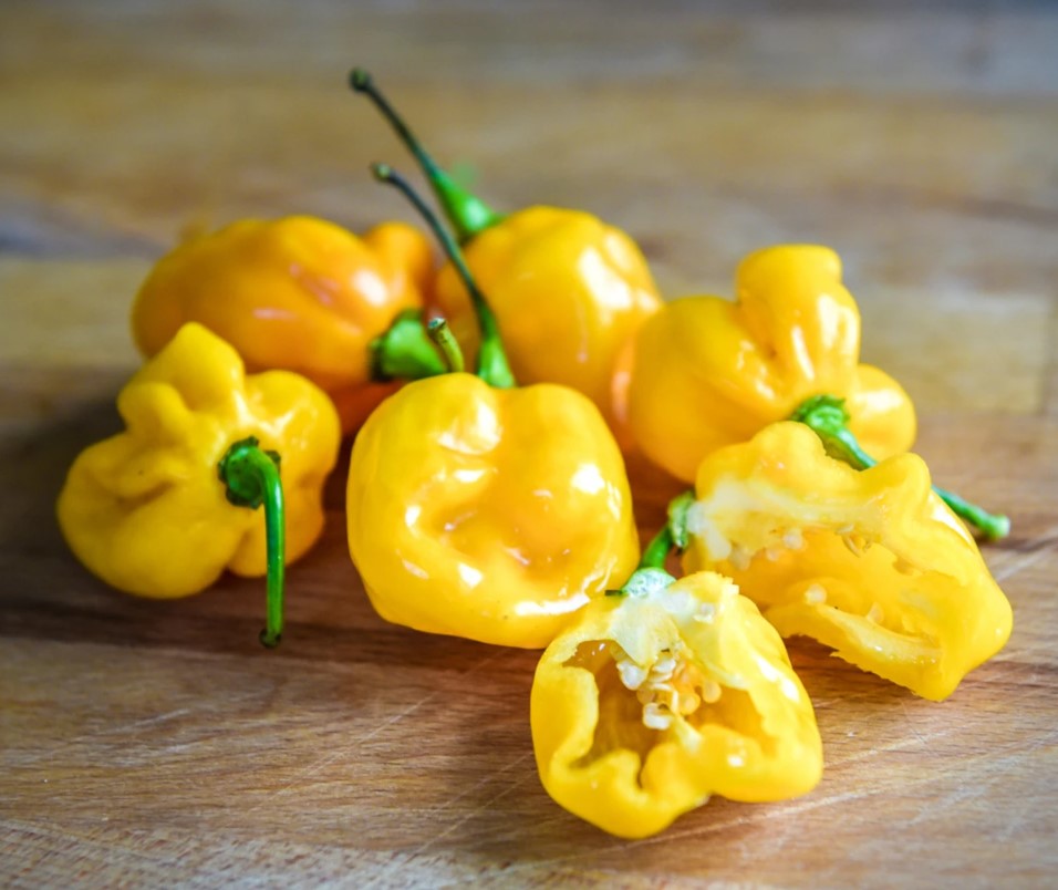 Перец, который обманывает: сладкий вкус и адская острота в одном плоде — всё о сорте Биг Сан Хабанеро