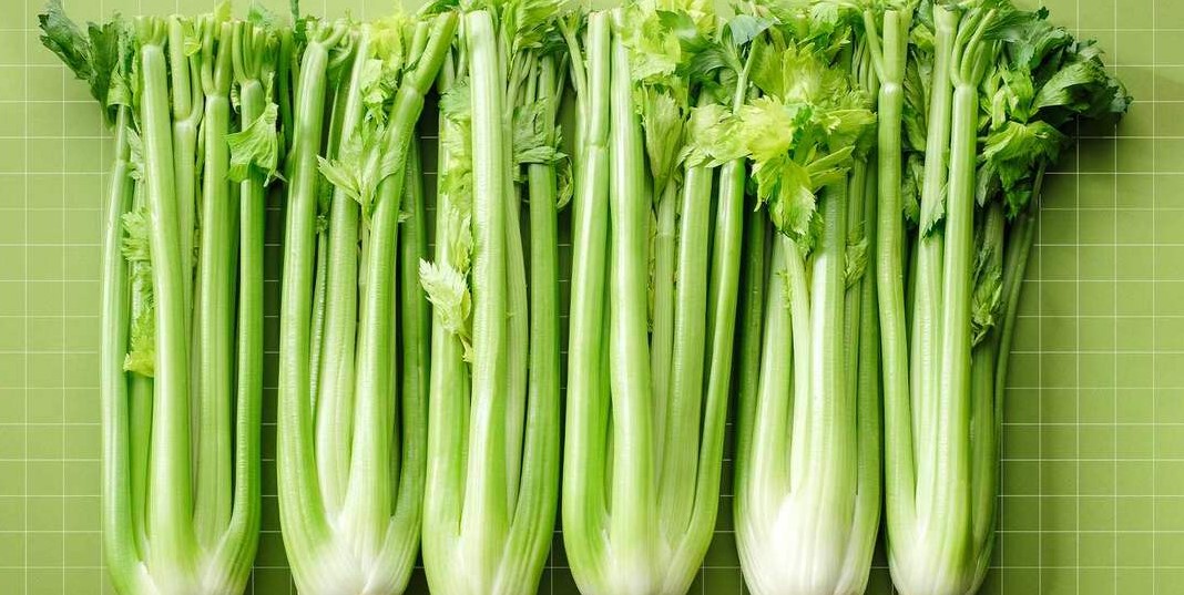 Забудьте про тугие джинсы: 6 продуктов, которые диетологи едят, чтобы мгновенно убрать вздутие и отеки