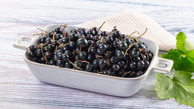 Полезнее черники и малины: вы зря игнорируете эту забытую ягоду