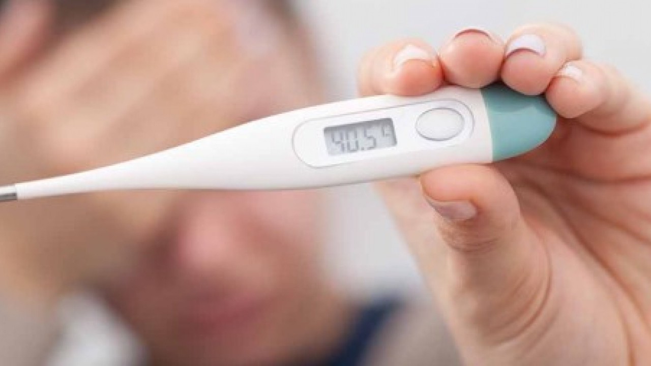 Жар, слабость и обезвоживание: 7 продуктов, которые при высокой температуре спасут организм лучше таблеток