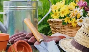 Грядки подождут: как не уехать с дачи в реанимацию с тепловым ударом