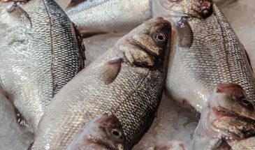 Окунь сходит с ума от этих 5 приманок: назван рейтинг самых уловистых силиконовых насадок