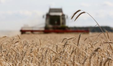 Не добила ключевая ставка, добьет топливный кризис: сельское хозяйство скатывается к результатам Средневековья