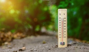 Аномальная жара на даче: 12 правил, которые спасут вас от теплового удара