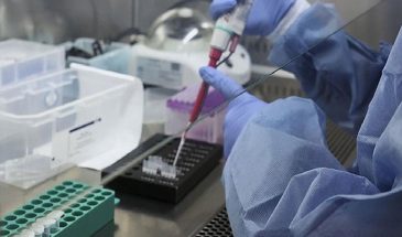 Вирус Эболы может выявляться у переболевшего в течение полугода: выжил — не значит свободен