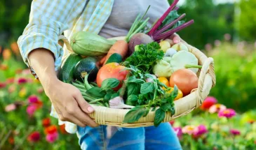Не знаете, куда деть августовский урожай? Вот 3 простых и вкусных решения