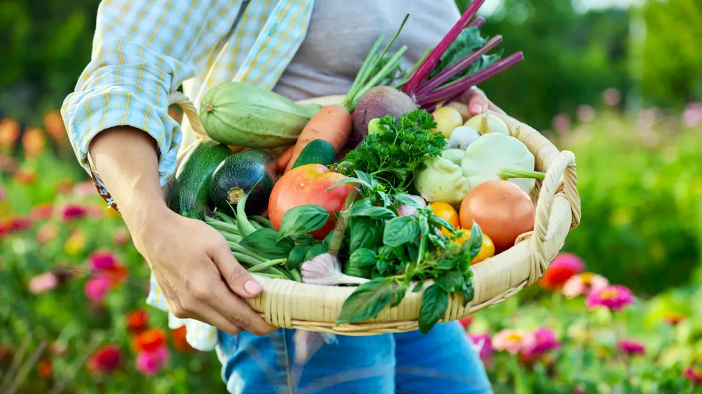 Не знаете, куда деть августовский урожай? Вот 3 простых и вкусных решения