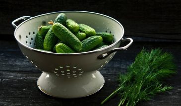 Хруст до последней дольки: как хранить огурцы, чтобы они не вяли