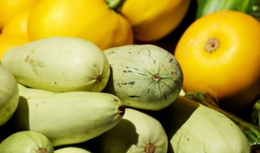 Не знаете, куда деть кабачки и помидоры? 3 простых блюда, которые спасут урожай и сэкономят время