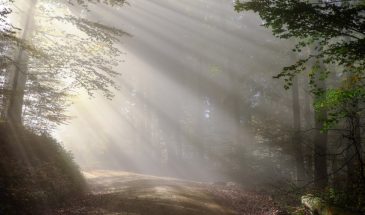 Прохоры-Пармены — 10 августа: народные приметы, традиции и день кузнецов