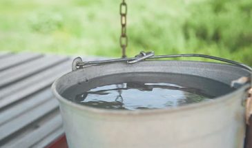 Как найти воду на участке без геологов и лозоходцев: бесплатный дедовский метод с пластиковыми бутылками