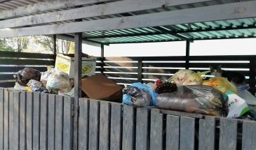 Кто обязан ликвидировать несанкционированную свалку возле МКД: инструкция для жильцов