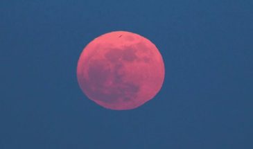Осетровая Луна превратится в огненный диск: астрономы раскрыли, как увидеть редкое затмение 28 августа
