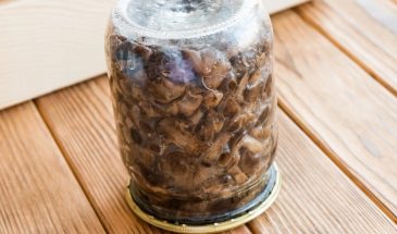 Грибы для пельменей: как сохранить натуральный вкус без уксуса