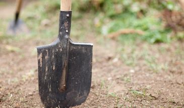 Осенняя перекопка: где лопата работает на урожай, а где наносит ущерб