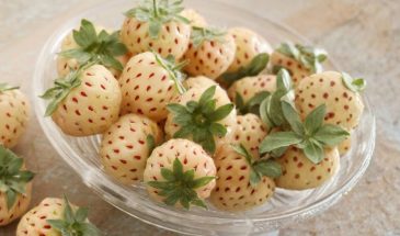 Белая клубника с красными косточками: как вырастить «ананасовую» ягоду на балконе