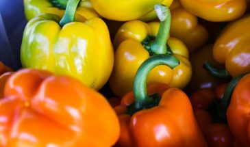 Главный козырь дачного сезона 2026: рейтинг самых вкусных и урожайных сортов сладкого перца