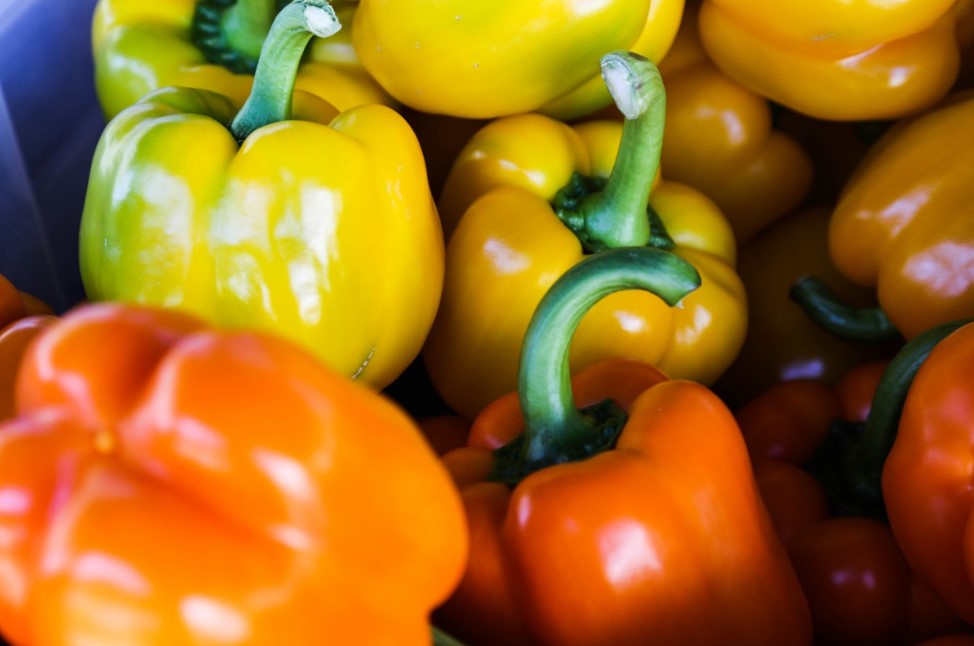 Главный козырь дачного сезона 2026: рейтинг самых вкусных и урожайных сортов сладкого перца