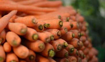 Гниль и горечь: 3 ошибки при уборке моркови и свёклы, которые уничтожат весь урожай