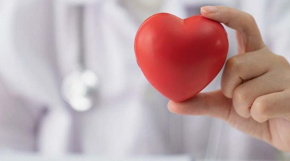 Защитник сердца после 60: врач назвала незаслуженно забытую ягоду, которая спасает сосуды лучше многих добавок