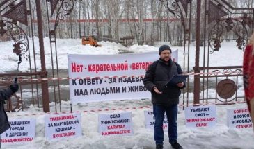 Рекордный экспорт на фоне падающего стада: почему молочное «благополучие» России держится на уничтожении скота