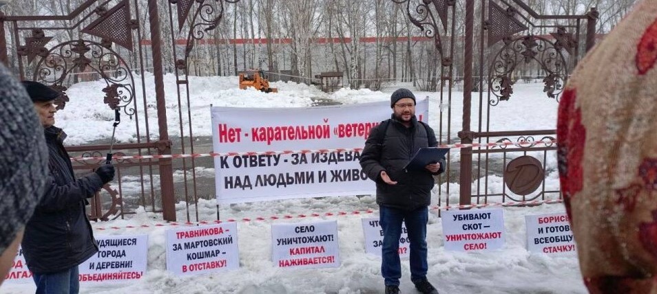 Рекордный экспорт на фоне падающего стада: почему молочное «благополучие» России держится на уничтожении скота