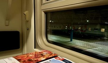 Новое ограничение РЖД с 2027 года: переноски для животных не пройдут контроль