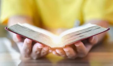 Бумажная книга: почему мозг её «любит» больше, чем экран