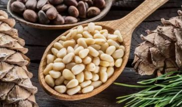 Роскачество назвало продукт, снижающий сахар в крови натощак: кому кедровые орехи категорически запрещены