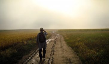 «Безработица старит»: 16 лет наблюдений доказали, почему ранняя пенсия опасна для мозга