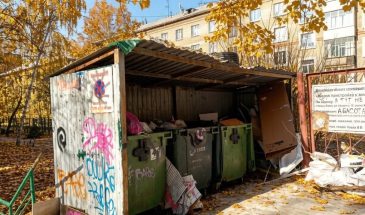 Крысы в подъезде: жесткий алгоритм жалоб, который заставит УК провести дератизацию